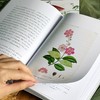 植物的盛会：四万年植物生活与人类想象 商品缩略图2