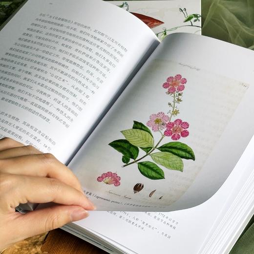 植物的盛会：四万年植物生活与人类想象 商品图2