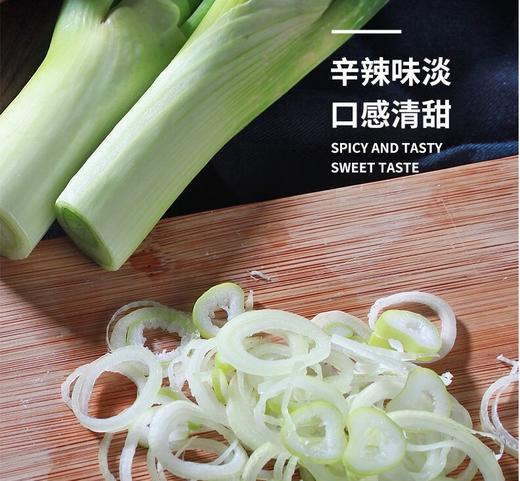 【QT】大葱 商品图2