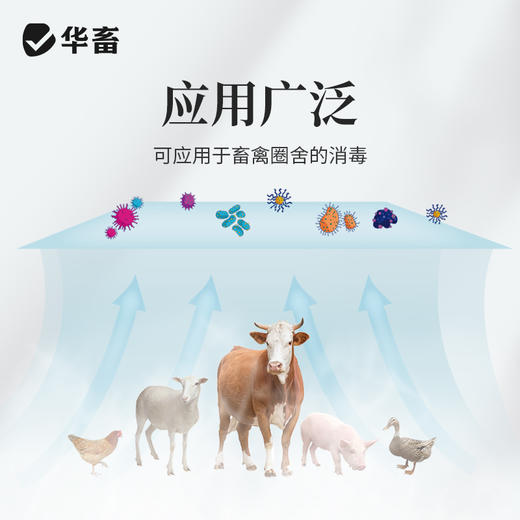 华畜百独消600g  净化空气 孕畜可用 烟熏消毒剂可带畜使用 商品图3