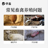 宫净100ml 产后冲洗排恶露 产后保健子宫清理 母畜消炎 商品缩略图1
