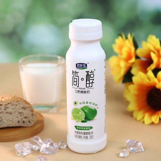 君乐宝230g简醇0蔗糖酸奶 商品图4