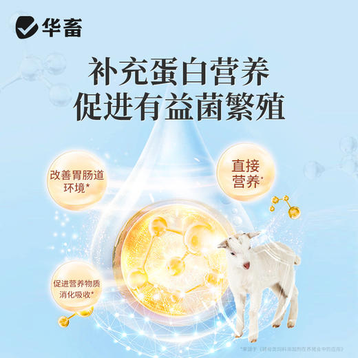 华畜 排酸宝1kg 牛羊瘤胃 胀气  过料严重 采食量下降 拉稀腹泻 商品图2