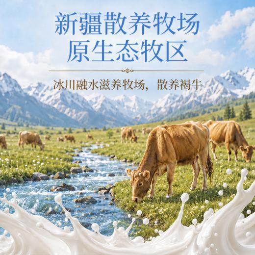 营养食光·溯源新疆奶醇 | 配料表巨巨巨干净、营养又巨好吃的正宗新疆的高钙奶醇！ 商品图2