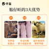 华畜胎仔旺兽用母猪促排卵好配种叶酸生育酚维生素E发情粉剂 商品缩略图3