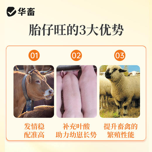 华畜胎仔旺兽用母猪促排卵好配种叶酸生育酚维生素E发情粉剂 商品图3