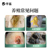 华畜利头翁 清热解毒 化湿止痢 肠炎腹泻鸡鸭鹅通用 商品缩略图1
