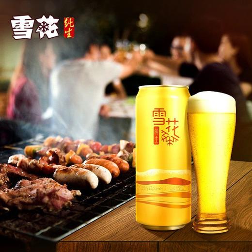 C雪花500ml*12纯生年轻系列(箱) 商品图2