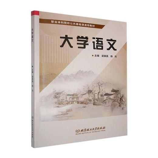 大学语文 商品图0