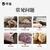 华畜胎仔旺兽用母猪促排卵好配种叶酸生育酚维生素E发情粉剂 商品缩略图1