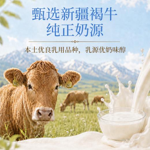 营养食光·溯源新疆奶醇 | 配料表巨巨巨干净、营养又巨好吃的正宗新疆的高钙奶醇！ 商品图3