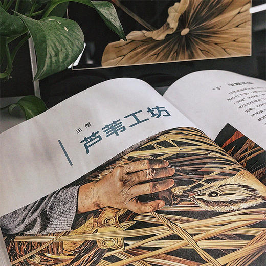 小脚丫走雄安探秘寻宝 商品图2