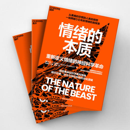 情绪的本质 商品图1