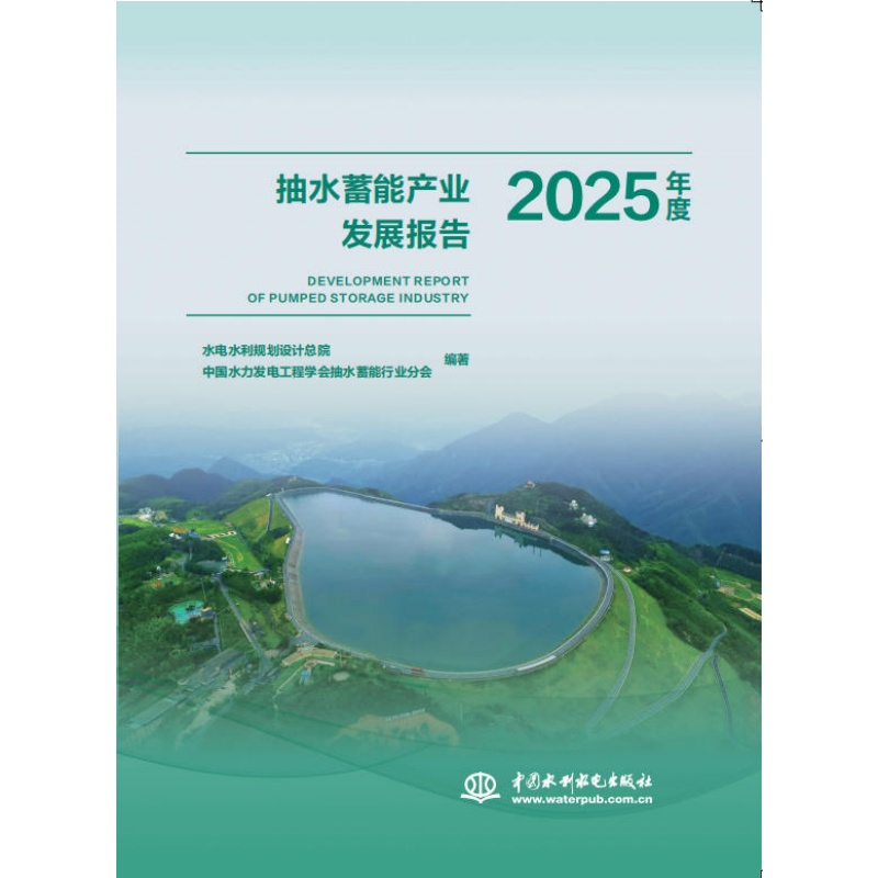 抽水蓄能产业发展报告2025年度