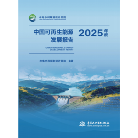 中国可再生能源发展报告2025年度