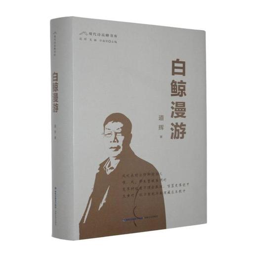 白鲸漫游 商品图0