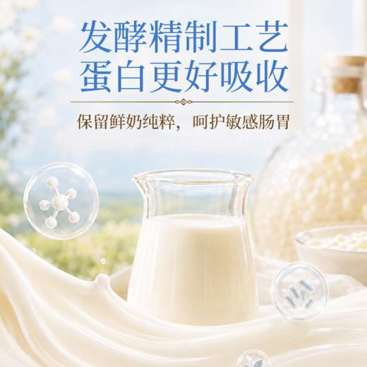 营养食光·溯源新疆奶醇 | 配料表巨巨巨干净、营养又巨好吃的正宗新疆的高钙奶醇！ 商品图4