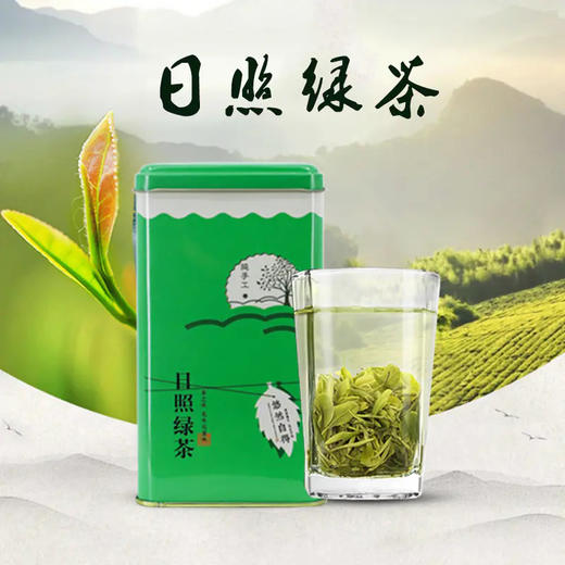 日照绿茶买4送4 商品图0