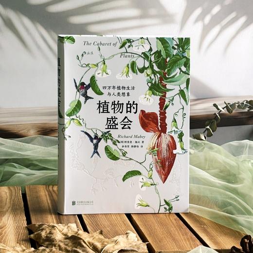 植物的盛会：四万年植物生活与人类想象 商品图1