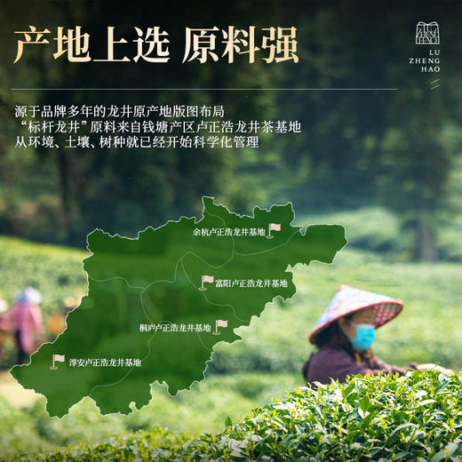 2026新茶【标杆龙井茶】卢正浩雨前杭州龙井茶正宗浓香老茶客挚爱春茶绿茶茶叶250g 商品图1
