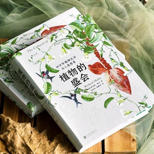 植物的盛会：四万年植物生活与人类想象 商品图4