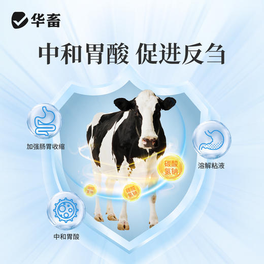 华畜 排酸宝1kg 牛羊瘤胃 胀气  过料严重 采食量下降 拉稀腹泻 商品图3