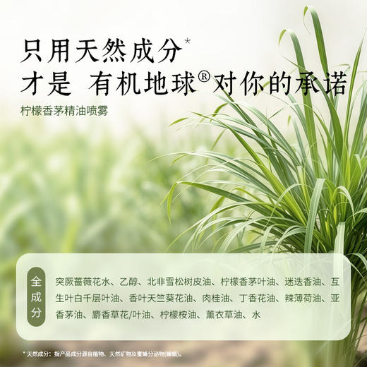 柠檬香茅精油喷雾100ml/瓶  S-37-1 （效期27-10） 商品图6