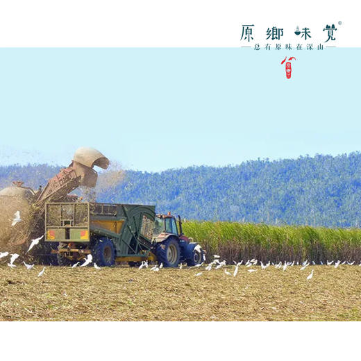 散装生态黄砂糖（成都仓库-顺丰快递）|500g/袋，来自巴西，生产者：ITAJA【合作生产，公平贸易】 商品图5