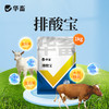 华畜 排酸宝1kg 牛羊瘤胃 胀气  过料严重 采食量下降 拉稀腹泻 商品缩略图0