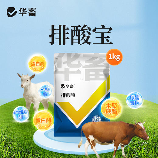 华畜 排酸宝1kg 牛羊瘤胃 胀气  过料严重 采食量下降 拉稀腹泻 商品图0