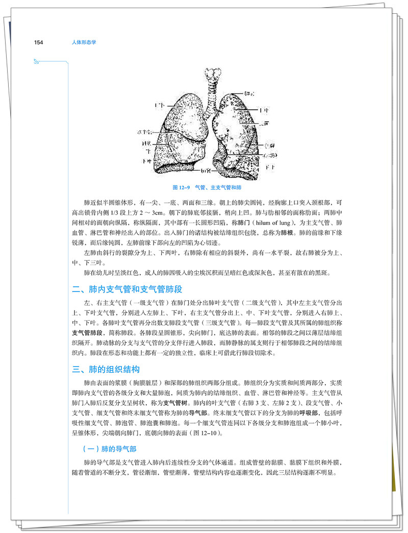 试读2.jpg