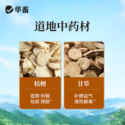 华畜利头翁 清热解毒 化湿止痢 肠炎腹泻鸡鸭鹅通用 商品图2