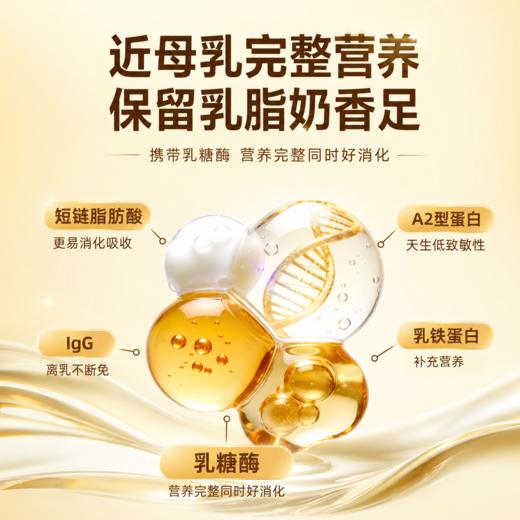 宝莱美露宠物羊奶粉5g*10袋 犬猫通用  不卖包退！ 商品图4