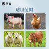 华畜解暑粉解暑抗暑避免中暑降温抗应激猪牛羊家禽薄荷饲料添加剂 商品缩略图3