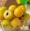 新疆小白杏 | 天山蜜杏 个头精灵小巧 口感酸甜清新 圆润多汁 晶黄剔透 一杏两吃 杏香四溢 杏仁酥脆 商品缩略图6
