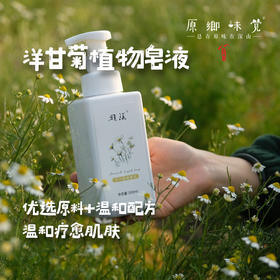 洋甘菊植物皂液/沐浴露（成都仓库-顺丰发货）|500ml/瓶，来自广东中山，生产者：旗溪【合作生产，公平贸易 】