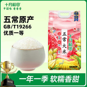 当季新米【商超同款】寒露秋香五常大米 10斤