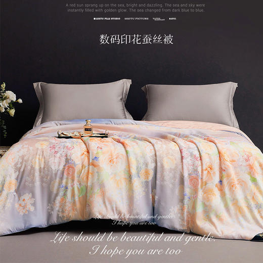 「莫奈花园」数码印花蚕丝被 | 内里20%蚕丝 + 80%仿蚕丝棉配比，外层数码印花面料，触感丝滑细腻，亲肤不扎肤 商品图0