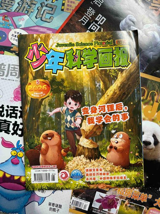 【暑期阅读】科普阅读兴趣包（少年科学画报领衔5本2026年现货组合） 商品图4