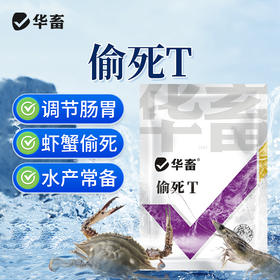 华畜 偷死T调节肠胃 免疫力强 养殖常备