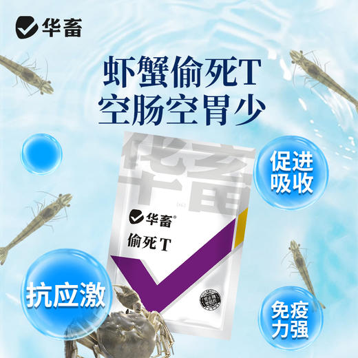 华畜 偷死T调节肠胃 免疫力强 养殖常备 商品图1