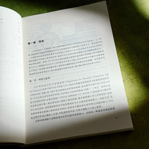 指向数学核心素养的问题情境设计 中学数学 教学评一体化 商品图7