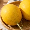 山东黄金哈密瓜|脆甜爽口，风味馥郁，奶香蜜香扑鼻|蜜瓜 商品缩略图4