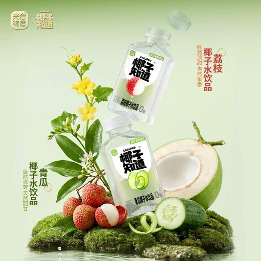 【清凉一夏】椰子知道 （青瓜/荔枝）椰子水饮品 310ml*6/310ml*20★棒棒糖优选 商品图0