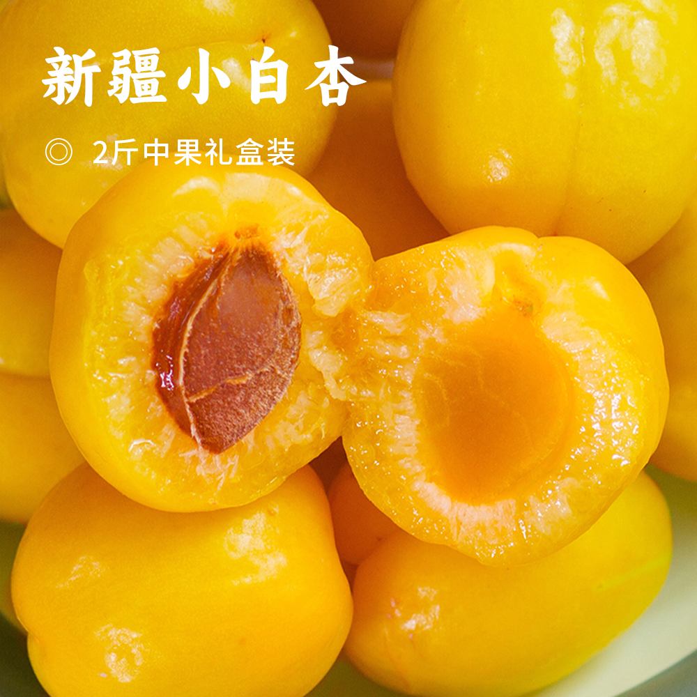 新疆小白杏 | 天山蜜杏 个头精灵小巧 口感酸甜清新 圆润多汁 晶黄剔透 一杏两吃 杏香四溢 杏仁酥脆