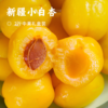 新疆小白杏 | 天山蜜杏 个头精灵小巧 口感酸甜清新 圆润多汁 晶黄剔透 一杏两吃 杏香四溢 杏仁酥脆 商品缩略图0