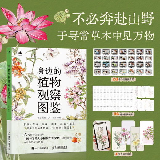 身边的植物观察图鉴 不*奔赴山野，于寻常草木中见万物 商品图0