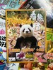 【暑期阅读】科普阅读兴趣包（少年科学画报领衔5本2026年现货组合） 商品缩略图5