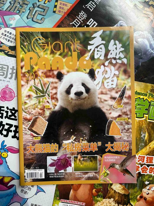 【暑期阅读】科普阅读兴趣包（少年科学画报领衔5本2026年现货组合） 商品图5