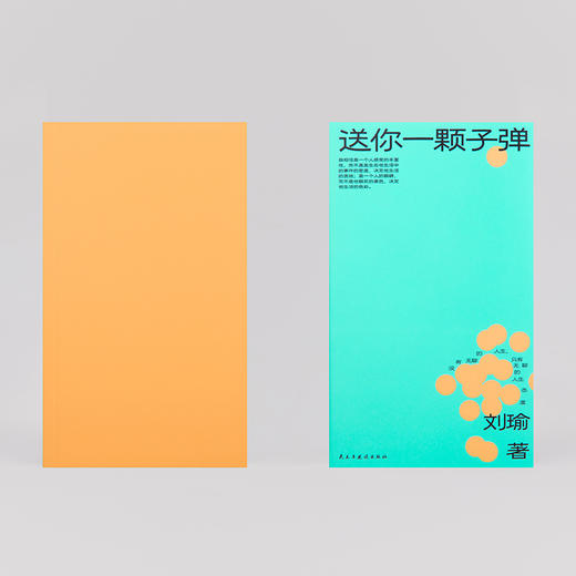 送你一颗子弹  刘瑜 著（可选购定制冰丝棉布包版） 商品图4